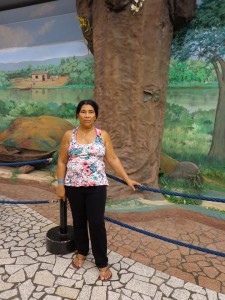Professora Nadir
