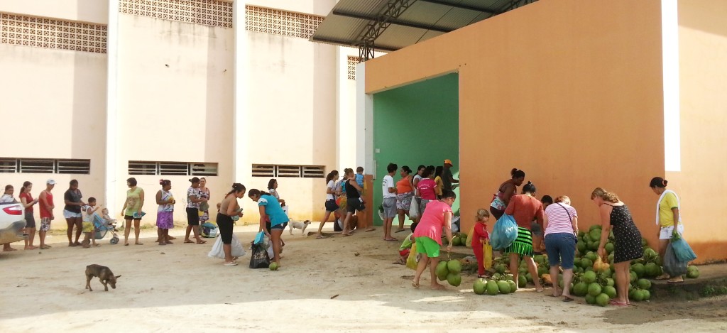  A distribuição dos produtos é feita no armazém da Secretaria Municipal de Agricultura, ao lado do Ginásio de Esportes, no bairro Ondina