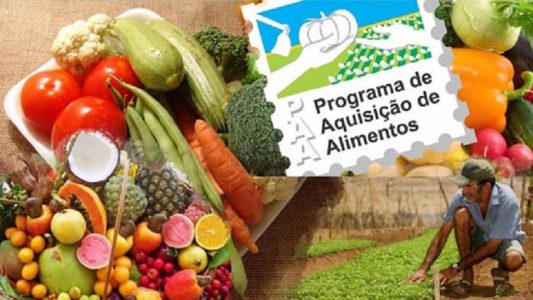 O produtor contratado vai poder fornecer até R$ 6.500,00 em alimentos por um período de 12 meses.