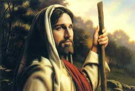 Por que viemos ao mundo