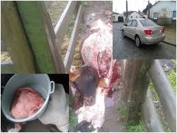 Mais dois acusados de furto de carne de gado são presos em Montanha