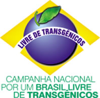 Comer qualquer produto ou subproduto de milho no Brasil pode encurtar a vida