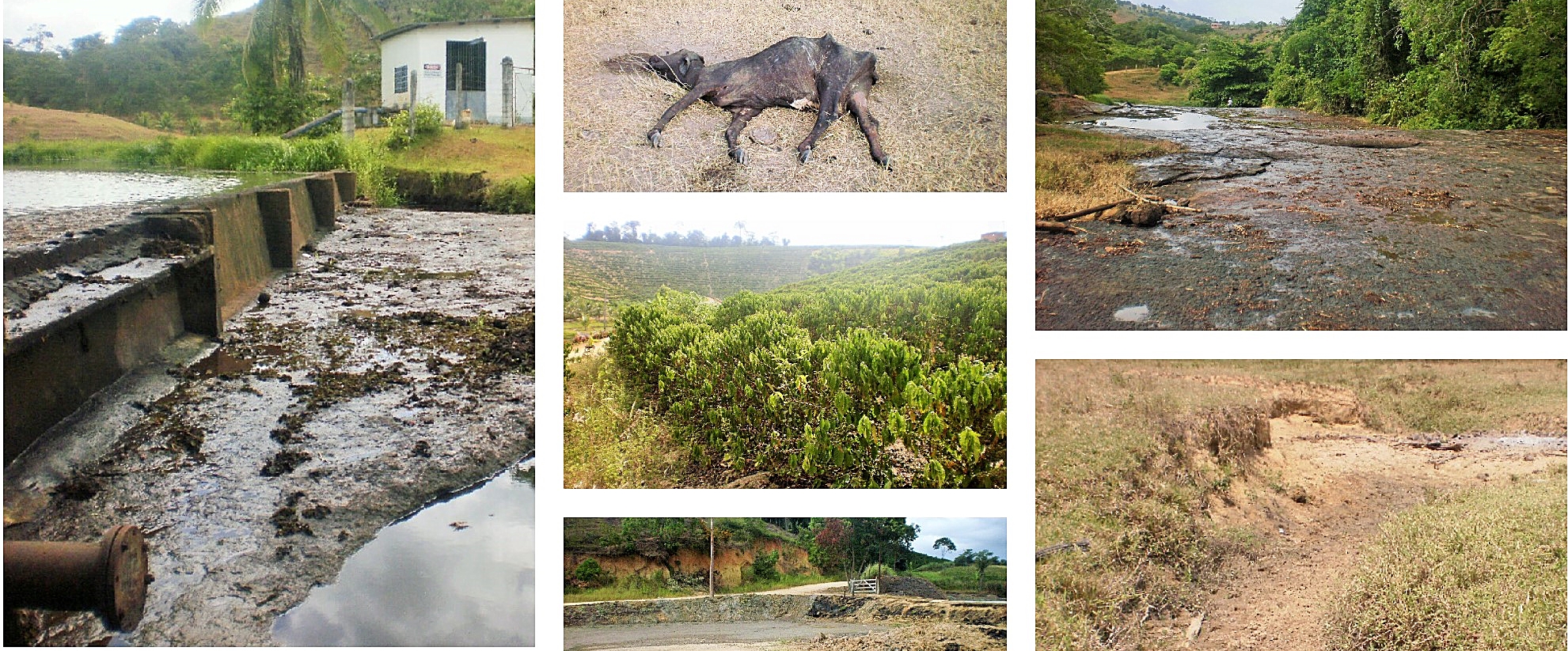Estiagem em Vila Pavão causa falta de água para a população urbana e prejuízos no meio rural