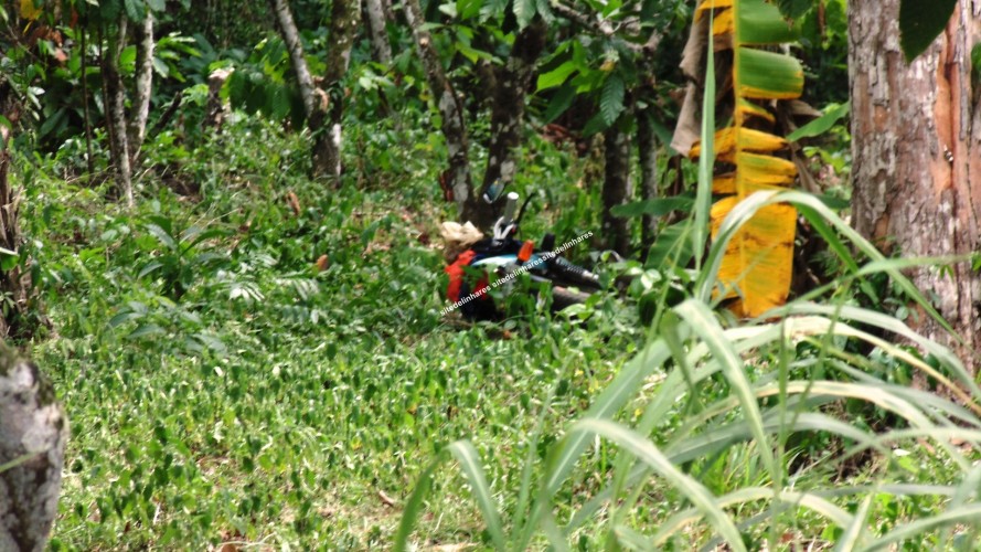 Corpo é encontrado decapitado em matagal no interior de Linhares