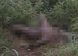 Corpo de  homem é encontrado carbonizado em Itaperuna,  interior de Barra de São Francisco