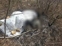 Corpo carbonizado sem identificação é encontrado no interior de Barra de São Francisco