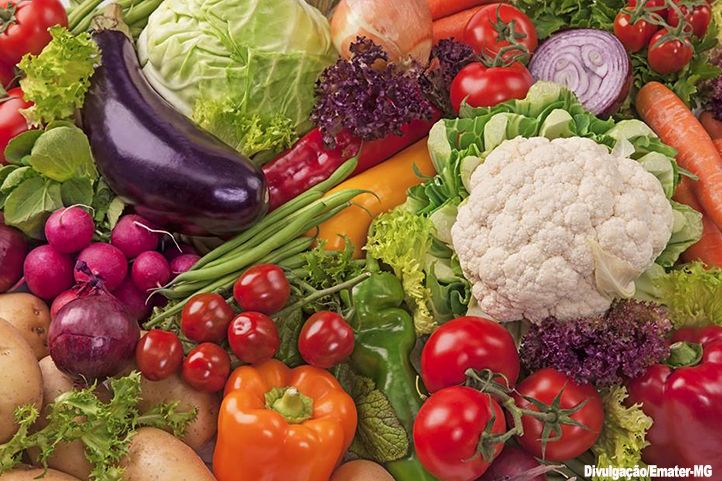 Prefeitura de Vila Pavão fará Chamada Pública para aquisição de alimentos que serão doados a famílias carentes