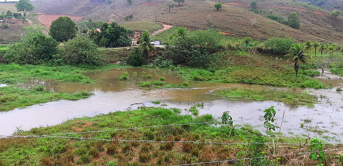 Chuva muda a paisagem e córregos renascem na região