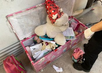 Tia abusa sexualmente da sobrinha de 9 anos, filma crime e vende vídeos, diz polícia