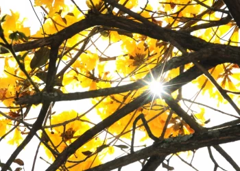 Semana começa com sol em todo o ES