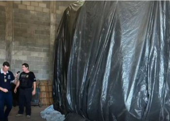 Polícia investiga furto e roubo de pimenta-do-reino no ES; operação apreende quase 90 toneladas