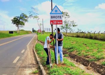 Placas na rodovia contam história e cultura pomerana enquanto convidam para degustar o famoso “brote”