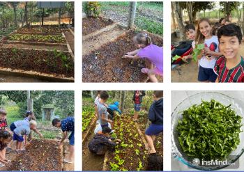 Horta na escola de Córrego Laginha inspira educação sustentável em Vila Pavão