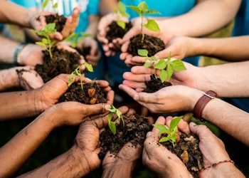 Vila Pavão celebra a Semana do Meio Ambiente com ações práticas e educativas entre os dias 2 e 6 de junho