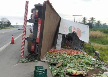 Pássaro invade cabine e caminhão tomba após batida na BR 101, em Linhares