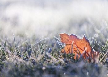 Vitória registra a menor temperatura do ano e estado enfrenta onda de frio intenso. Confira previsão do tempo para a semana