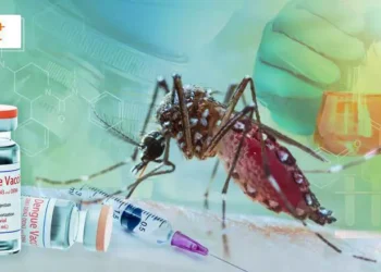 Anvisa aprova primeira vacina em dose única do mundo contra a dengue