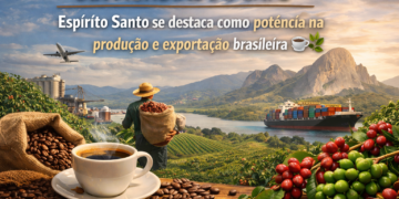 Dia Mundial do Café: Espírito Santo se destaca como potência na produção e exportação brasileira