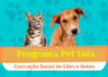 Carretão da Castração leva a Vila Pavão atendimento gratuito para cães e gatos