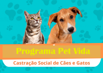 Carretão da Castração leva a Vila Pavão atendimento gratuito para cães e gatos