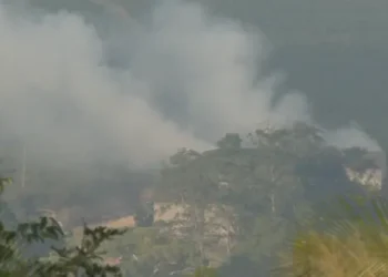 Vila Pavão reforça regras para queima de palha em secadores de café durante a colheita