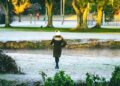 Inverno começa com previsão de frio intenso e temperaturas abaixo da média em diversas regiões do Brasil