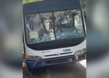 Ônibus escolar bate em carreta e deixa 12 crianças feridas em Pancas
