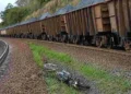 Motociclista morre atropelado por trem ao tentar retirar moto da linha férrea em Colatina