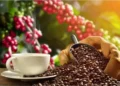 Café dispara: arábica sobe 31,7% em um mês e ultrapassa R$ 1.900 a saca no ES