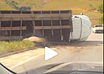 Vídeo | Caminhão boiadeiro tomba na ES-080 no contorno em Barra de São Franciscoe e bois se espalham pela pista