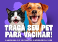 Campanha de Vacinação Antirrábica 2026: setembro é tempo de proteger cães e gatos