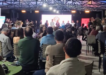 Vila Pavão conquista dois lugares no pódio em concurso de cafés de qualidade