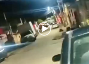 Vídeo | Suspeito morre em confronto com a polícia em Nova Venécia