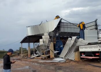 Temporal derruba árvores e destelha casas em Vila Pavão; bairro Ondina é um dos mais atingidos