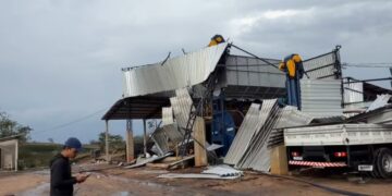 Temporal derruba árvores e destelha casas em Vila Pavão; bairro Ondina é um dos mais atingidos