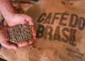 Exportações de café do ES passam de 5 milhões de sacas e crescem 58% em 2026