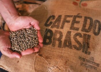 Exportações de café do ES passam de 5 milhões de sacas e crescem 58% em 2026