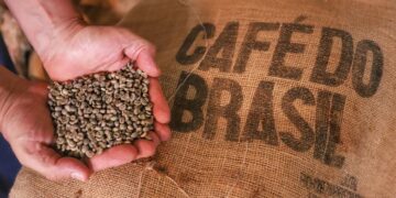 Exportações de café do ES passam de 5 milhões de sacas e crescem 58% em 2026
